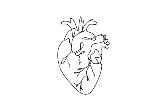 Download Single-line Drawing of the Human Heart - Human Collection