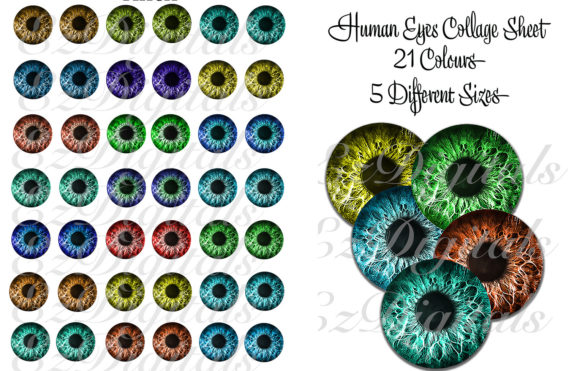 Download Human Eyes Collage Sheet - Human Collection