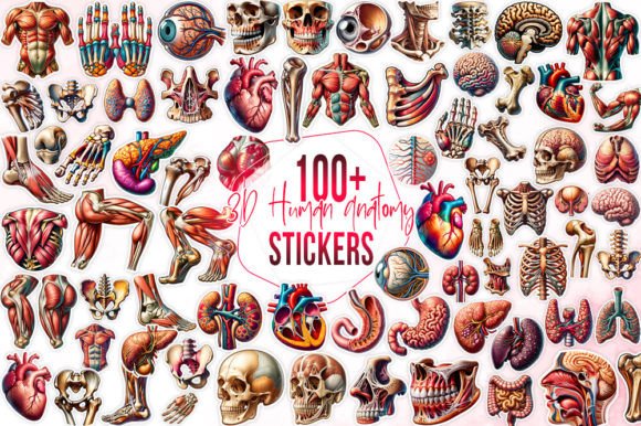 Download 100+ Human Anatomy Stickers Bundle - Human Collection