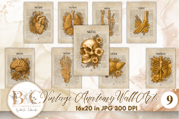 Download Vintage Anatomy Human Body Wall Art Set - Human Collection